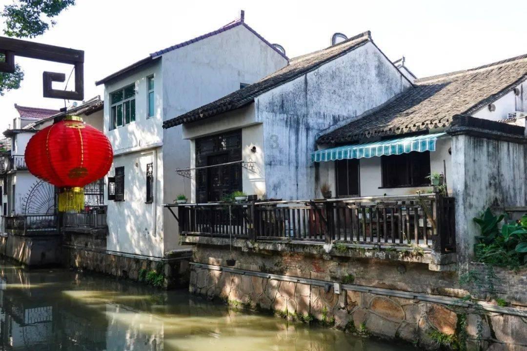 植物大战僵尸15